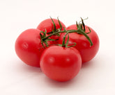 Tomato S-21